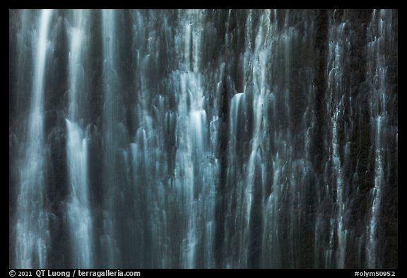 Water curtain, Marymere Fall. Olympic National Park, Washington, USA.