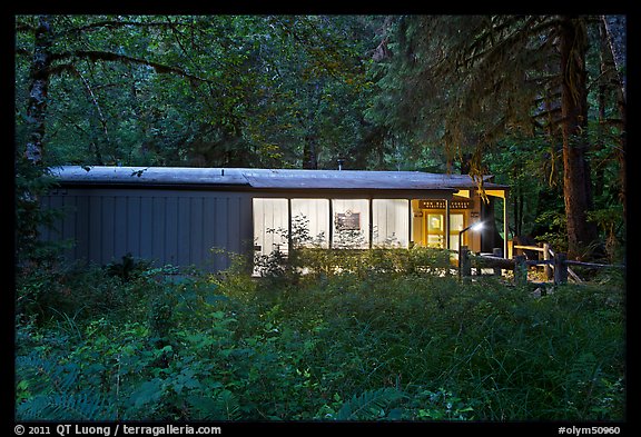 Hoh rain forest visitor center at dusk. Olympic National Park (color)