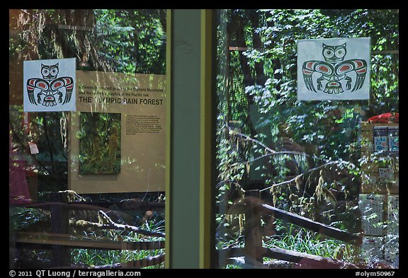 Rain forest, Hoh rain forest visitor center window reflexion. Olympic National Park, Washington, USA.