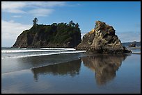 Sea stacks reflected on wet beach, Ruby Beach. Olympic National Park, Washington, USA.