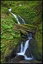 Merriman Falls. Olympic National Park, Washington, USA. (color)