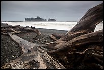 Driftwood and sea stacks in stormy weather, Rialto Beach. Olympic National Park ( color)