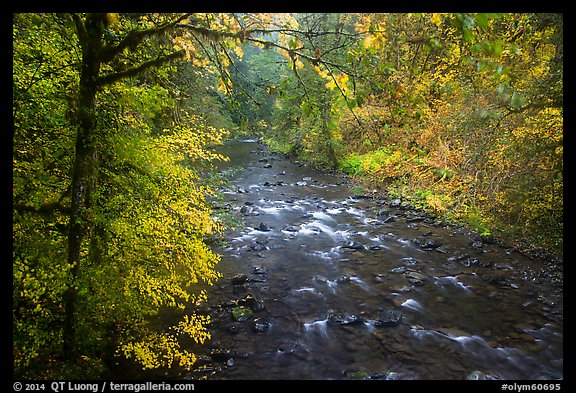 North Fork of Sol Duc River in autumn. Olympic National Park, Washington, USA.