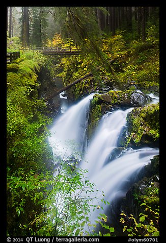 Sol Duc Falls and bridge in autumn. Olympic National Park, Washington, USA.