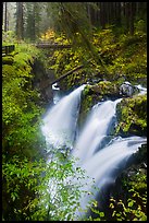 Sol Duc Falls and bridge in autumn. Olympic National Park, Washington, USA.