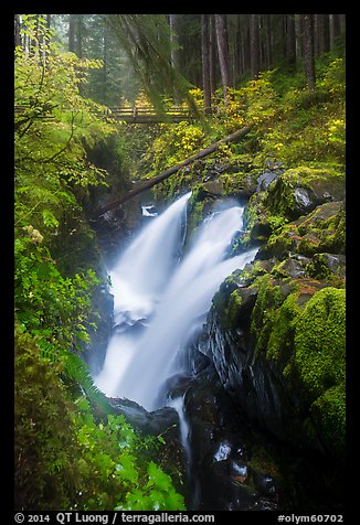 Soleduc Falls and footbridge in autumn. Olympic National Park, Washington, USA.