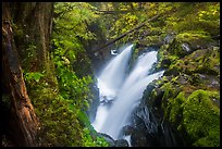 Soleduc Falls, gorge, and footbridge in autumn. Olympic National Park, Washington, USA.