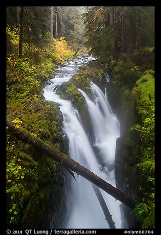 Soleduc Falls dropping into narrow gorge in autumn. Olympic National Park (color)