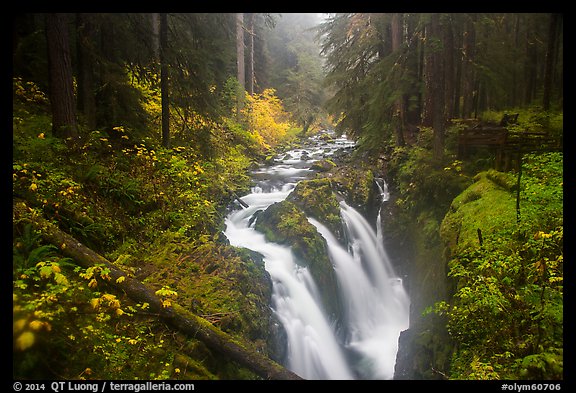 Sol Duc Falls in autumn. Olympic National Park, Washington, USA.