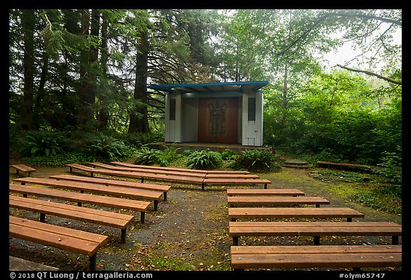 Amphitheater, Mora Campground. Olympic National Park (color)