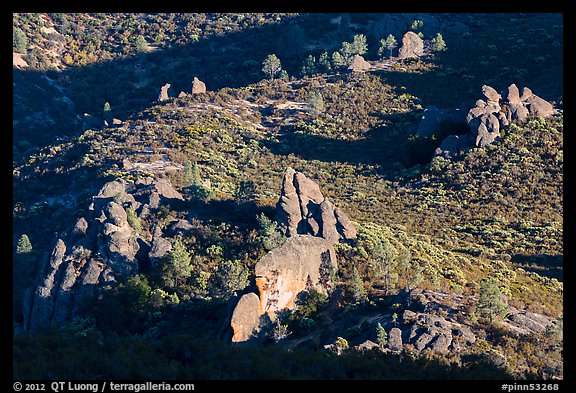 Rock formations and chaparral. Pinnacles National Park (color)