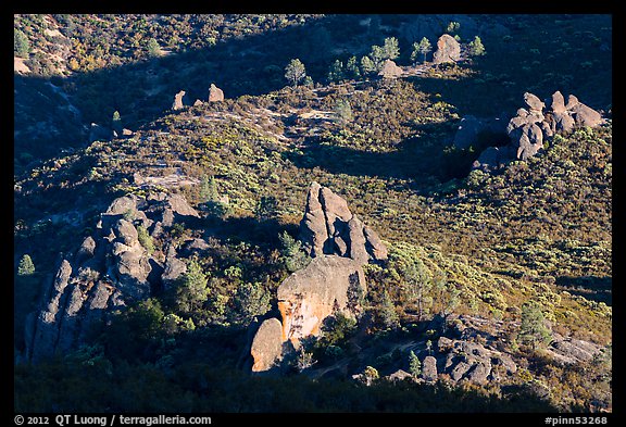 Rock formations and chaparral. Pinnacles National Park, California, USA.