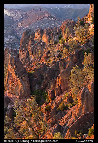 Rocky spires at sunset. Pinnacles National Park, California, USA.