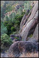 Cliff and Mediterranean chaparral. Pinnacles National Park ( color)