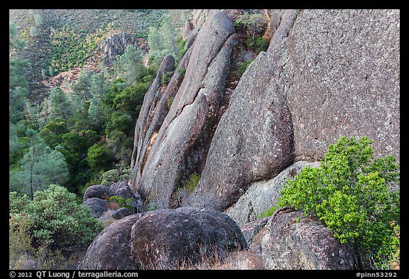 Rhyolite Cliff. Pinnacles National Park (color)
