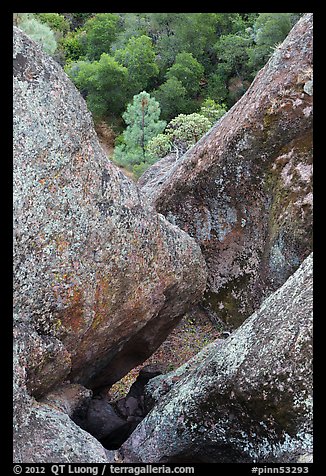 Rock finns below Condor Gulch overlook. Pinnacles National Park (color)