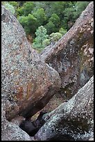 Rock finns below Condor Gulch overlook. Pinnacles National Park ( color)