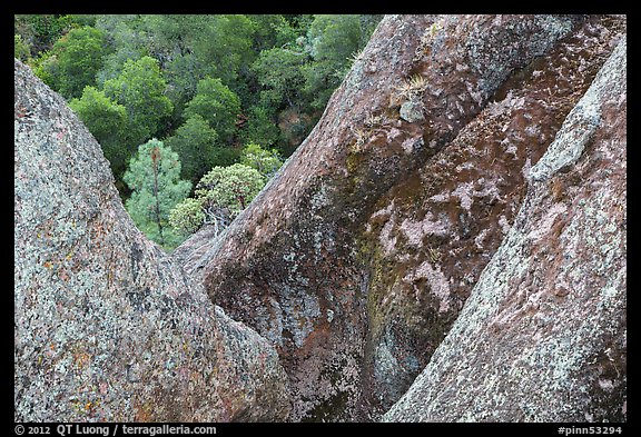 Lichen-covered volcanic rock finns. Pinnacles National Park (color)