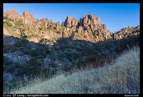 Summer grasses and pinnacles, early morning. Pinnacles National Park, California, USA.