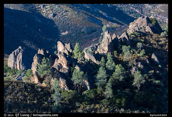 Pine trees and pinnacles. Pinnacles National Park, California, USA.