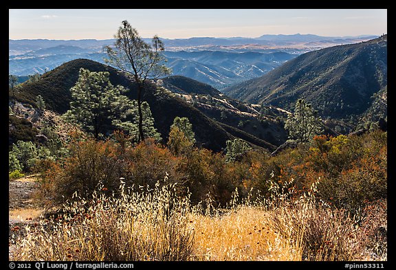 Summer grasses and rolling hills. Pinnacles National Park, California, USA.