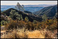 Summer grasses and rolling hills. Pinnacles National Park, California, USA. (color)