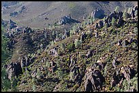 Volcanic rocks and chaparral. Pinnacles National Park, California, USA. (color)