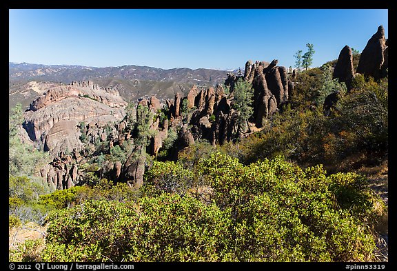 Chaparral and spires. Pinnacles National Park, California, USA.