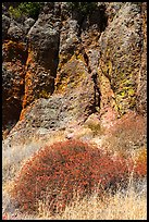 Dried wildflowers and colorful section of rock wall. Pinnacles National Park, California, USA. (color)