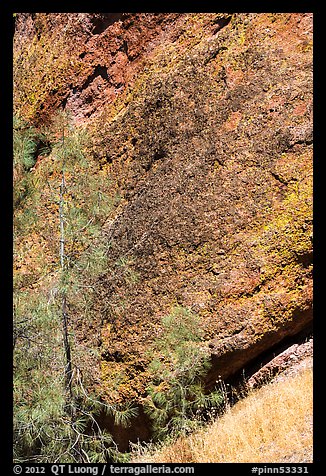 Colorful Breccia rock and summer grasses. Pinnacles National Monument, California, USA (color)