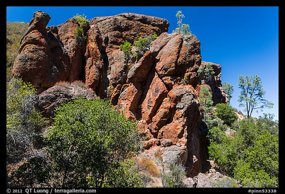 Cliff, Bear Gulch. Pinnacles National Park (color)