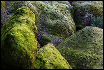 Moss-covered boulders, Bear Gulch. Pinnacles National Park, California, USA. (color)