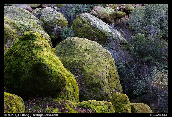 Boulders and trees in Bear Gulch. Pinnacles National Park (color)