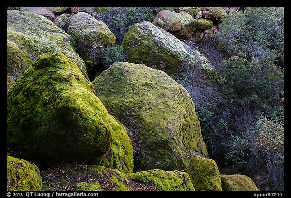 Boulders and trees in Bear Gulch. Pinnacles National Park, California, USA.