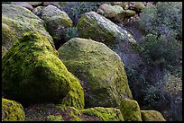 Boulders and trees in Bear Gulch. Pinnacles National Park, California, USA. (color)