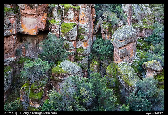 Bear Gulch rocks. Pinnacles National Park (color)