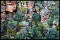 Bear Gulch rocks. Pinnacles National Park, California, USA. (color)