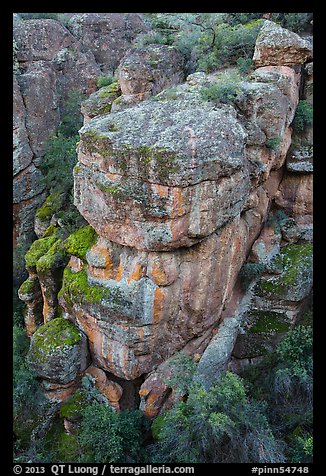 Colorful rocks and trees, Bear Gulch. Pinnacles National Park (color)