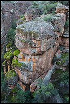 Colorful rocks and trees, Bear Gulch. Pinnacles National Park ( color)