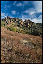 Shrubs in winter below pinnacles. Pinnacles National Park, California, USA. (color)
