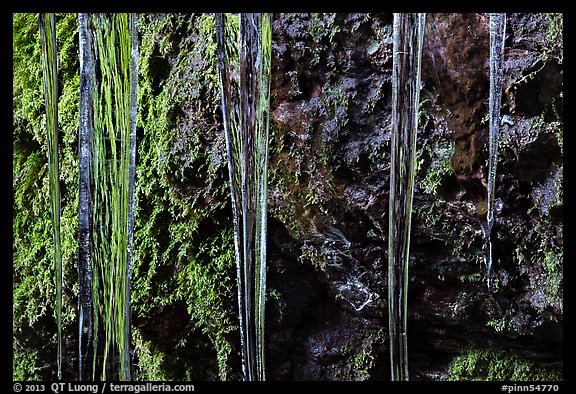 Icicles and moss, Balconies Cave. Pinnacles National Park (color)