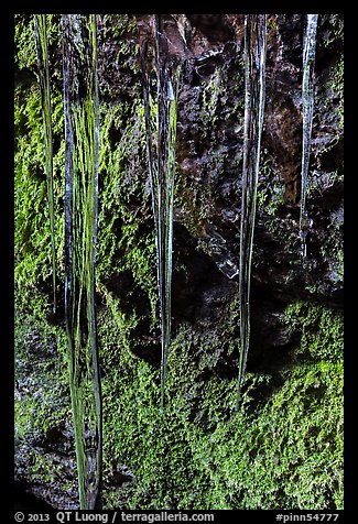 Icicles and mossy rocks, Balconies Caves. Pinnacles National Park (color)
