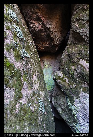 Moss and Rocks, Balconies Cave. Pinnacles National Park (color)