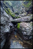 Chalone Creek flowing amongst boulders. Pinnacles National Park, California, USA. (color)