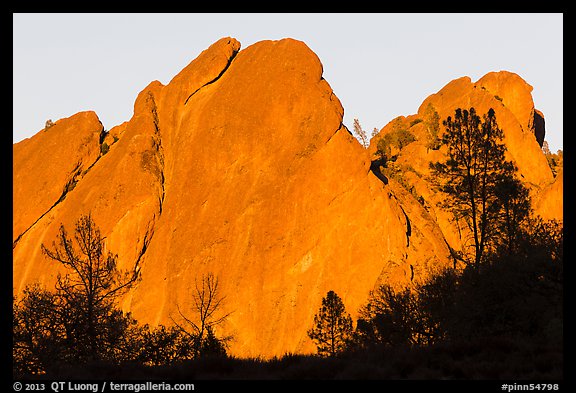 Trees against rocks glowing from sunset. Pinnacles National Park (color)