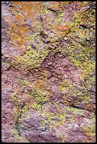 Colorful lichen and rock. Pinnacles National Park, California, USA. (color)