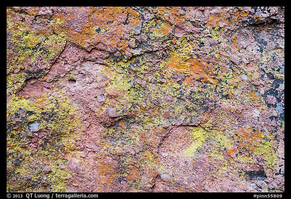 Multicolored lichen and rock. Pinnacles National Park, California, USA.