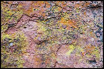 Multicolored lichen and rock. Pinnacles National Park, California, USA. (color)