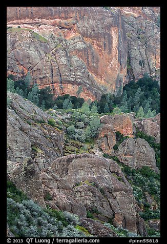 Cliffs and trees. Pinnacles National Park (color)