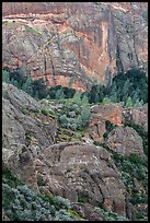Cliffs and trees. Pinnacles National Park ( color)